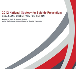 2012 NSSP cover