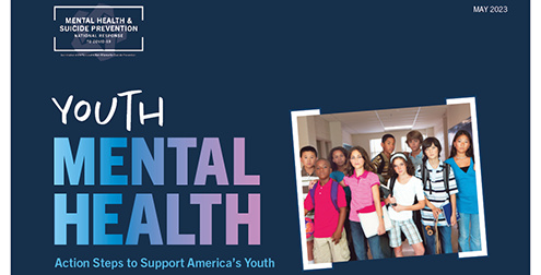 Youth Mental Health Report cover